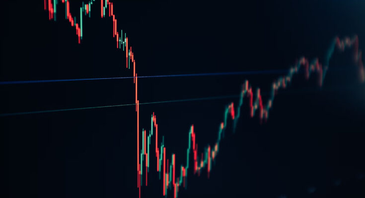 Bolsa