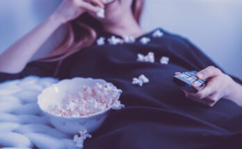 peliculas y programas de tv de cristina fenollar