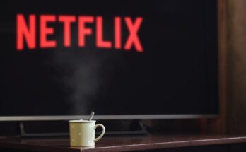 peliculas y programas de tv de michael cera