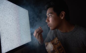 reparto de la locura programa de television
